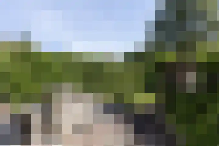 Heemskerklaan 19 Naarden thumbnail 29