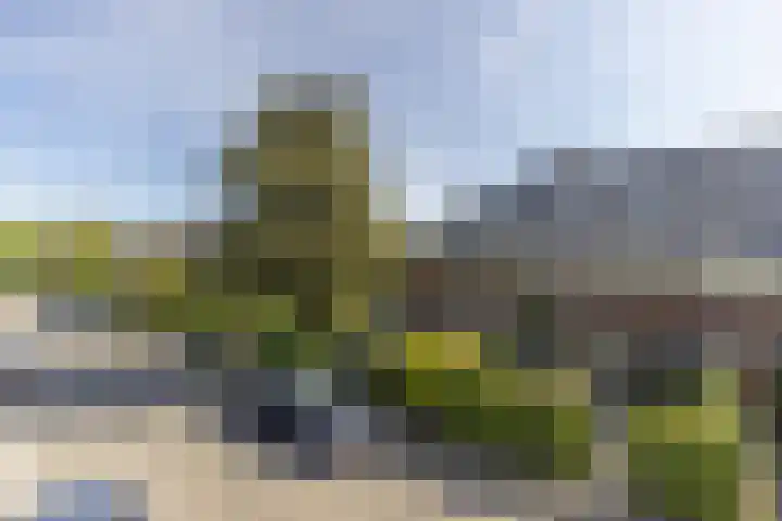 Heemskerklaan 19 Naarden thumbnail 32