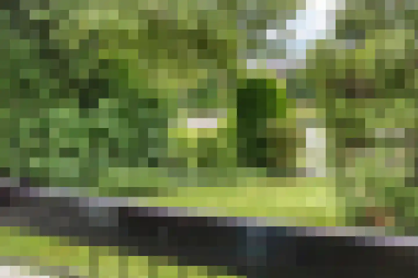 Heemskerklaan 2 Velp thumbnail 16