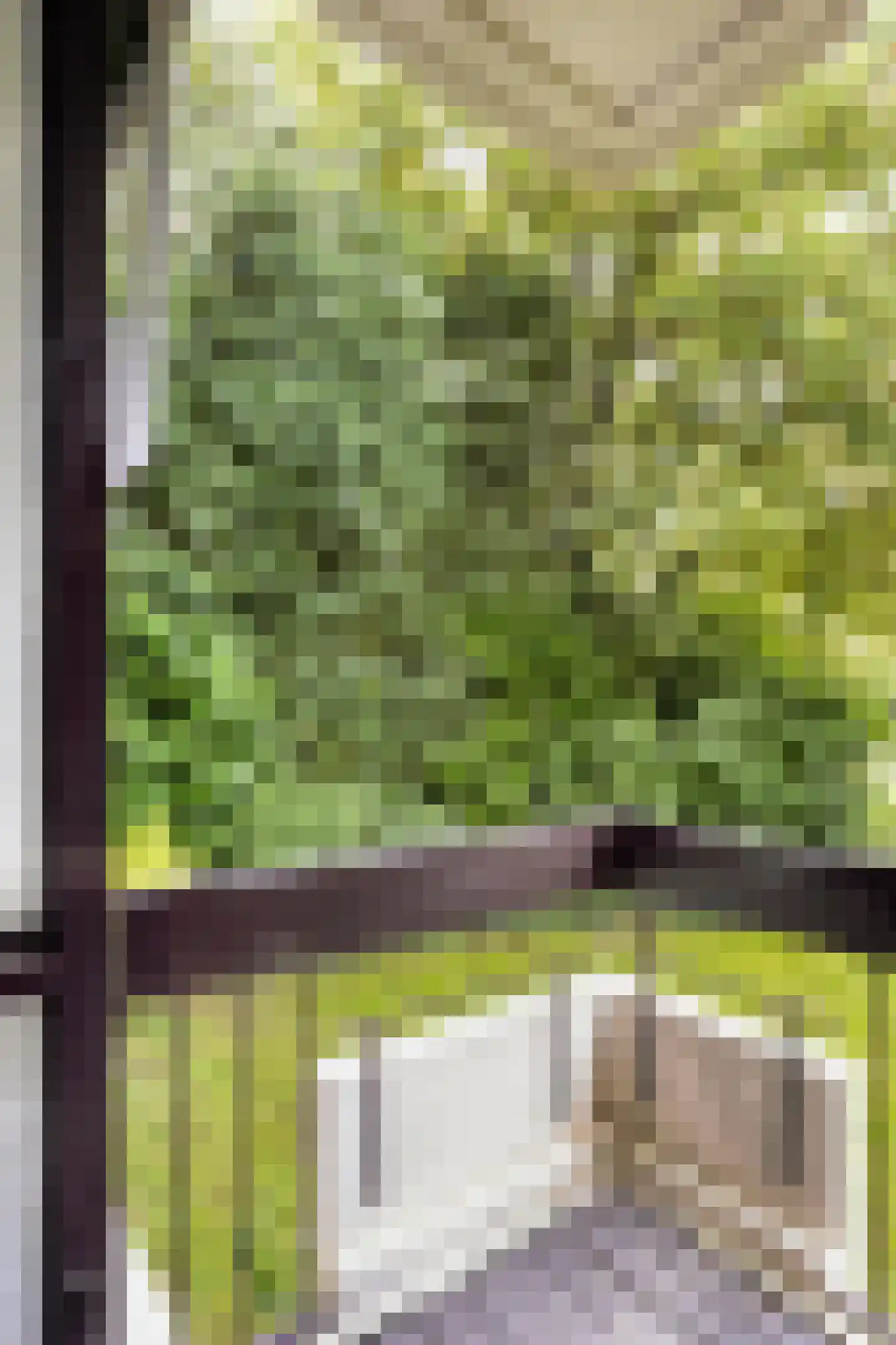Heemskerklaan 2 Velp thumbnail 17