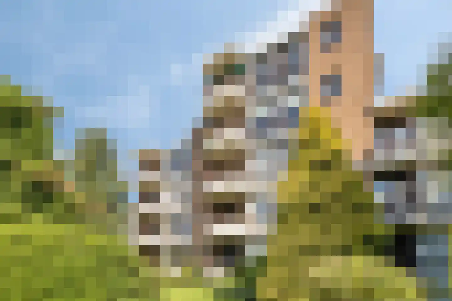 Heemskerklaan 2 Velp thumbnail 19