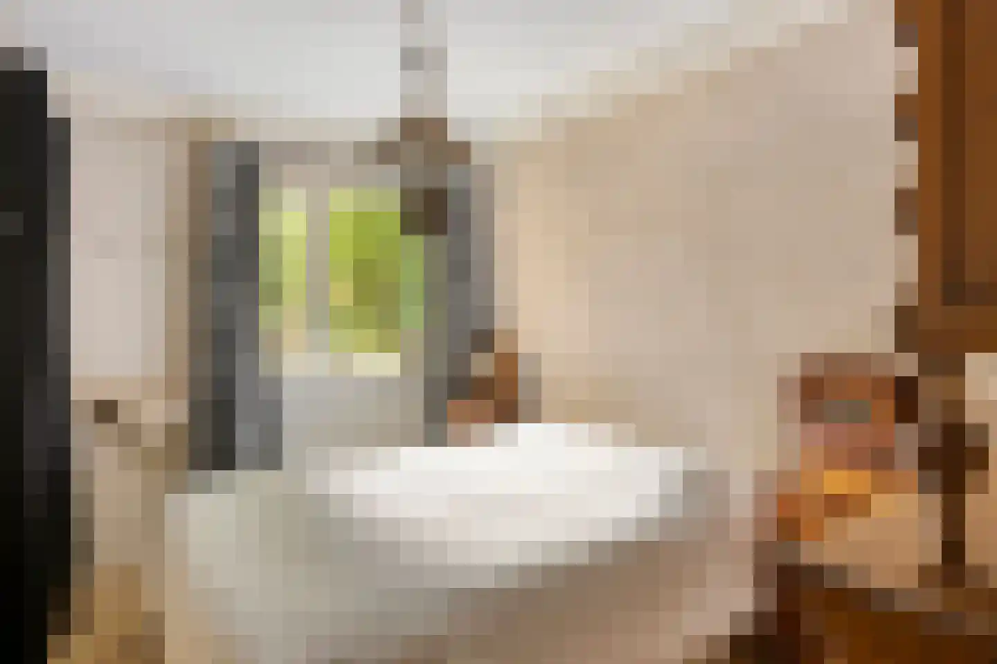 Heemskerklaan 2 Velp thumbnail 26