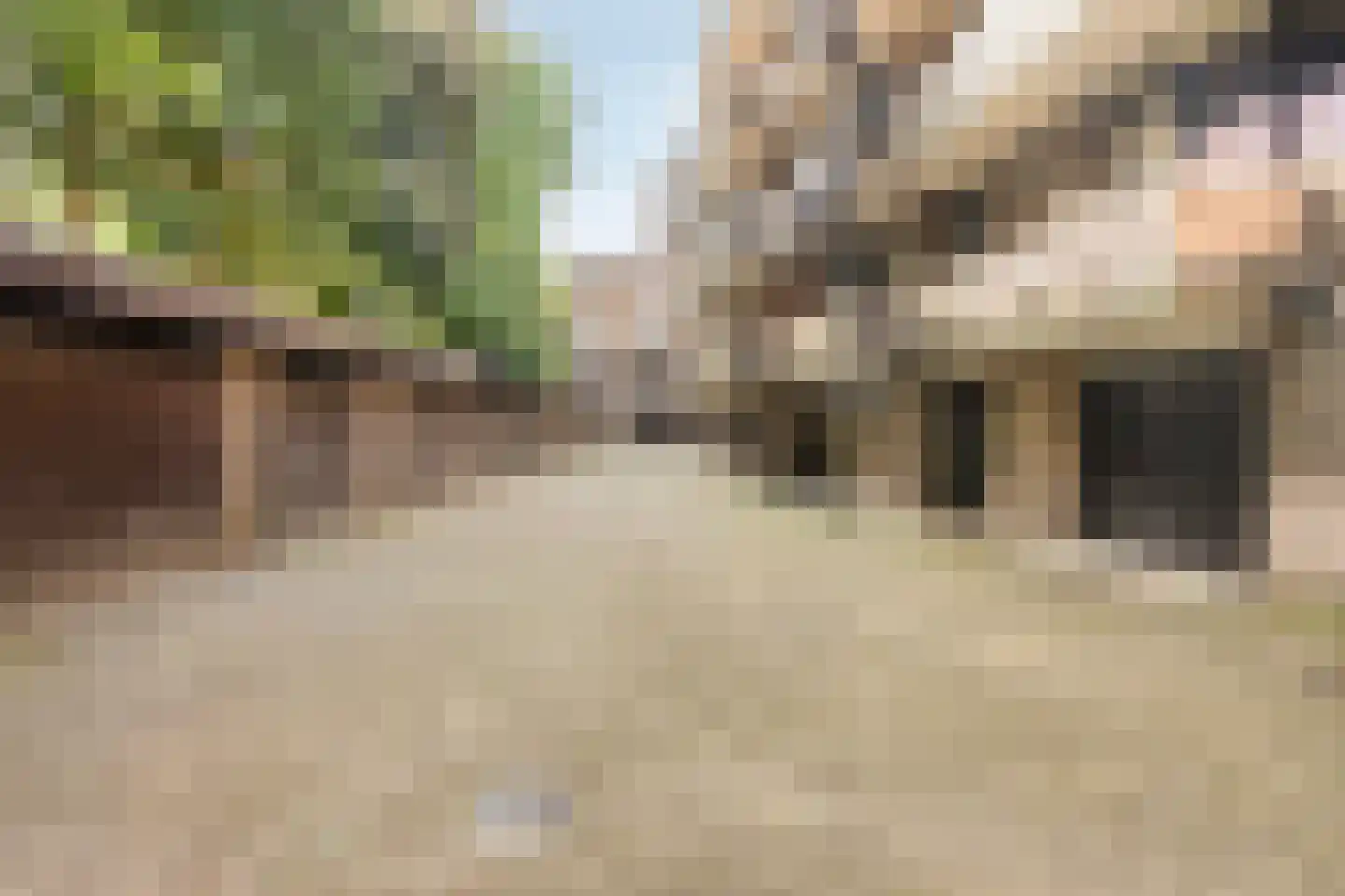 Heemskerklaan 2 Velp thumbnail 33