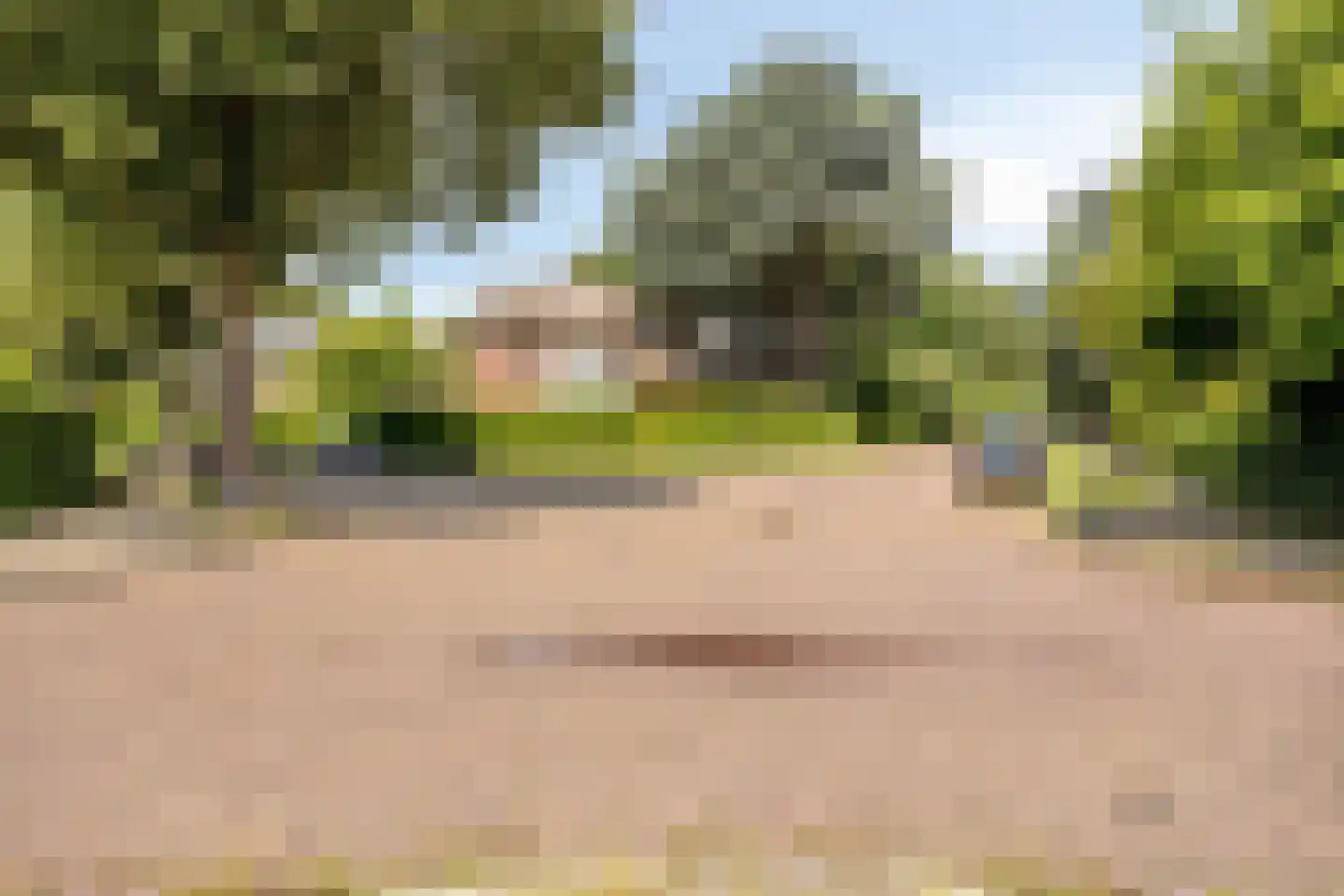 Heemskerklaan 2 Velp thumbnail 34