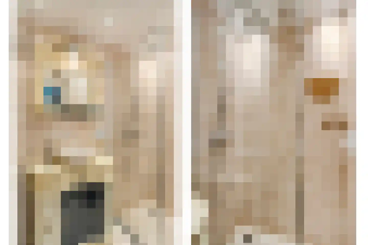 Heemskerklaan 2 Velp thumbnail 4