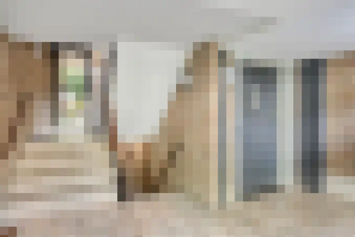 Heemskerklaan 2 Velp thumbnail 7