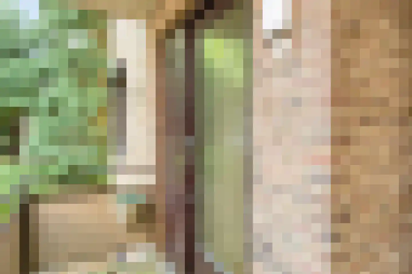 Heemskerklaan 2 Velp thumbnail 8