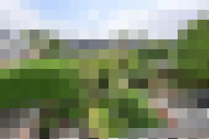 Heemskerklaan 27 Naarden thumbnail 16