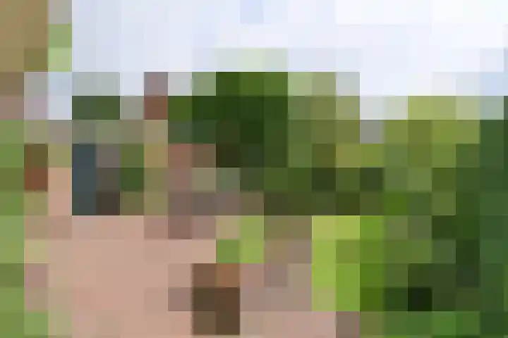 Heemskerklaan 27 Naarden thumbnail 22