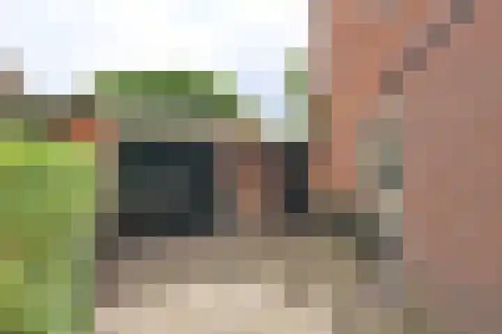 Heemskerklaan 27 Naarden thumbnail 23