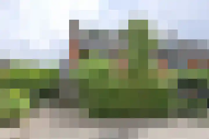 Heemskerklaan 27 Naarden thumbnail 27
