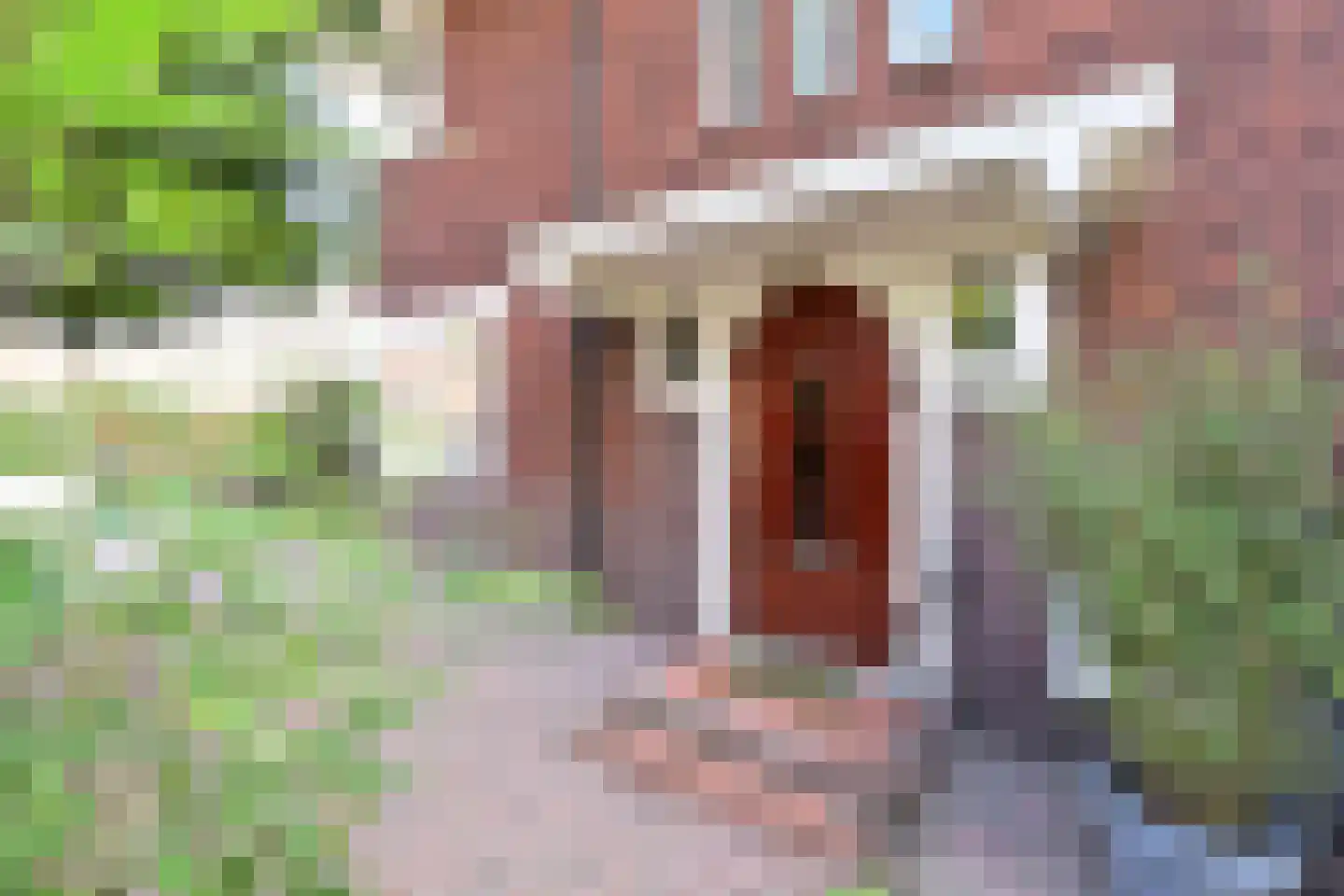 Heemskerklaan 30 Naarden thumbnail 4