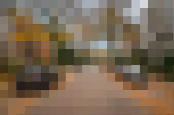 Heemskerklaan 33 Velp thumbnail 35