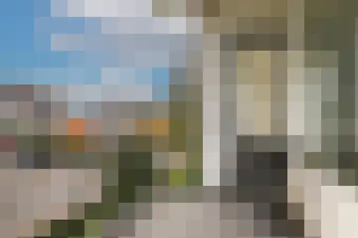 Heemskerklaan 33 Velp thumbnail 4