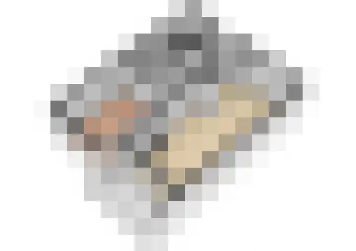 Heemskerklaan 33 Velp thumbnail 43
