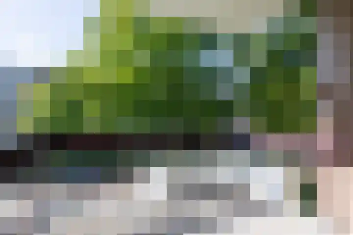 Heemskerklaan 38 Velp thumbnail 15