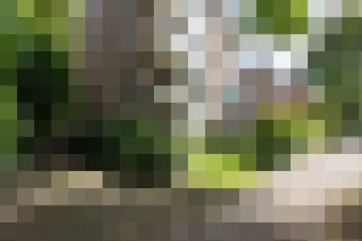 Heemskerklaan 38 Velp thumbnail 32