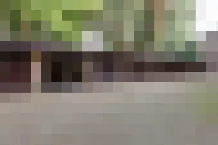 Heemskerklaan 38 Velp thumbnail 33