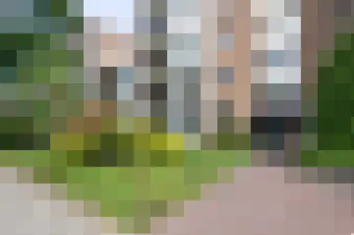 Heemskerklaan 38 Velp thumbnail 7