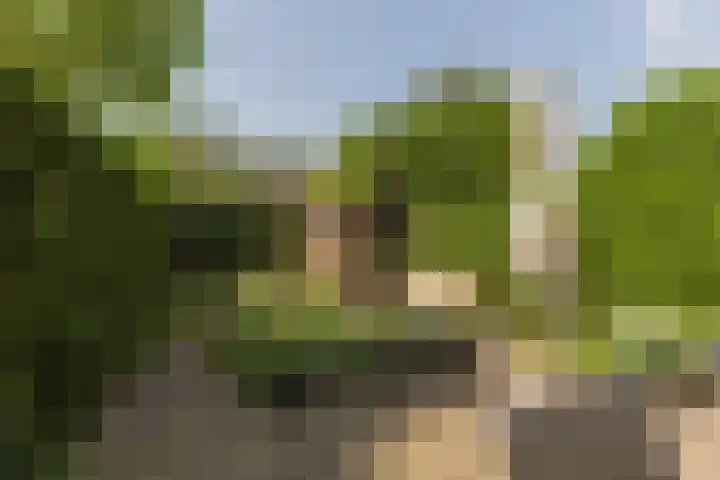 Heemskerklaan 46 Naarden thumbnail 22