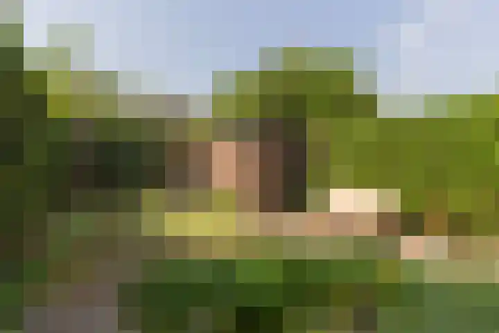 Heemskerklaan 46 Naarden thumbnail 23