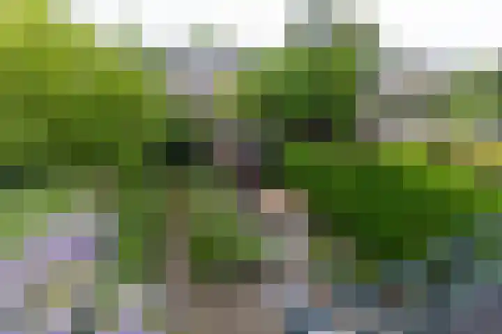 Heemskerklaan 46 Naarden thumbnail 24