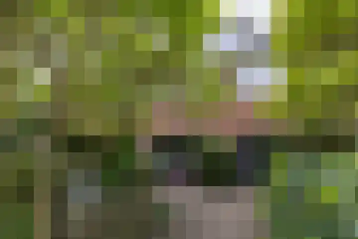 Heemskerklaan 46 Naarden thumbnail 4