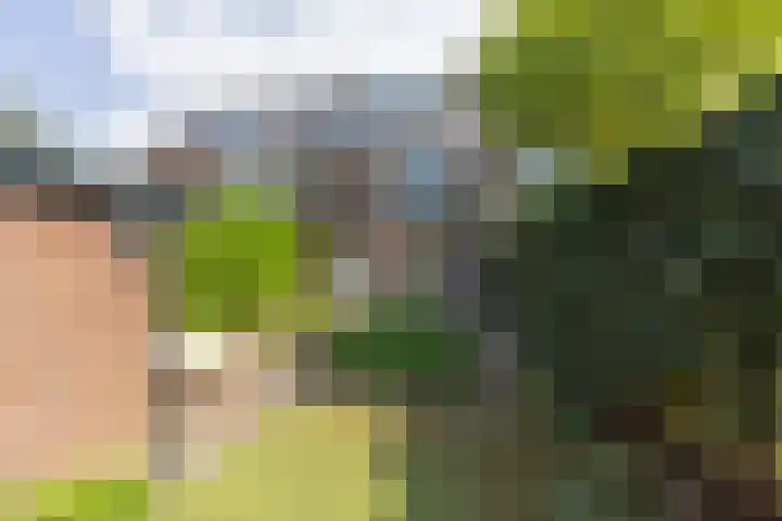 Heemskerklaan 46 Naarden thumbnail 43