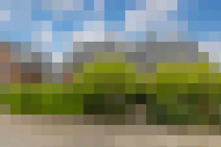 Heemskerklaan 46 Naarden thumbnail 44