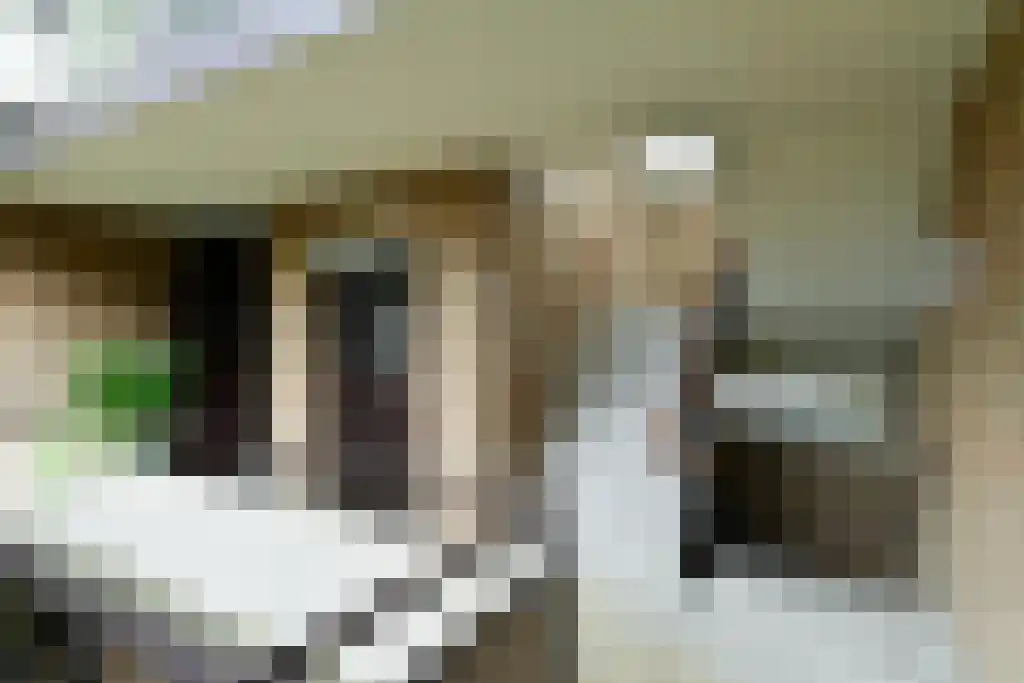 Heemskerklaan 48 Velp thumbnail 10