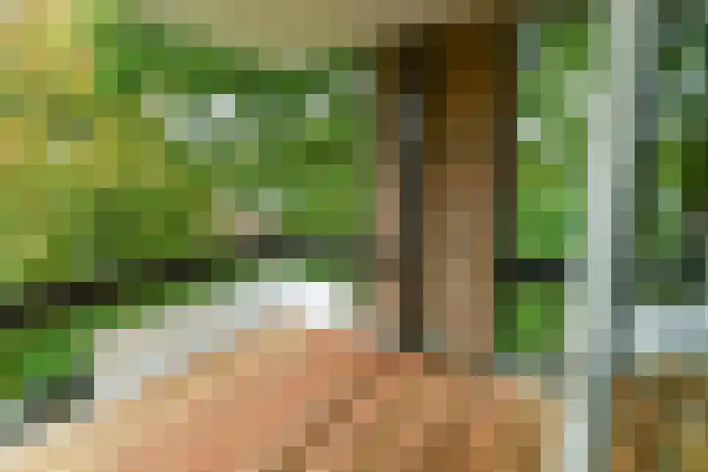 Heemskerklaan 48 Velp thumbnail 16