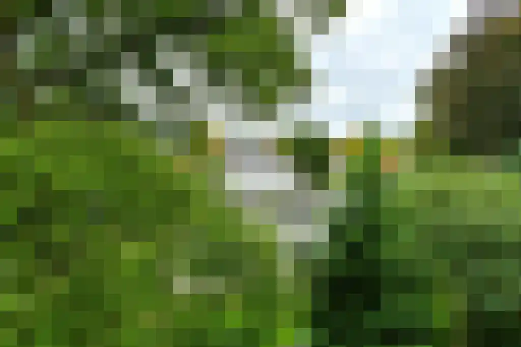 Heemskerklaan 48 Velp thumbnail 18