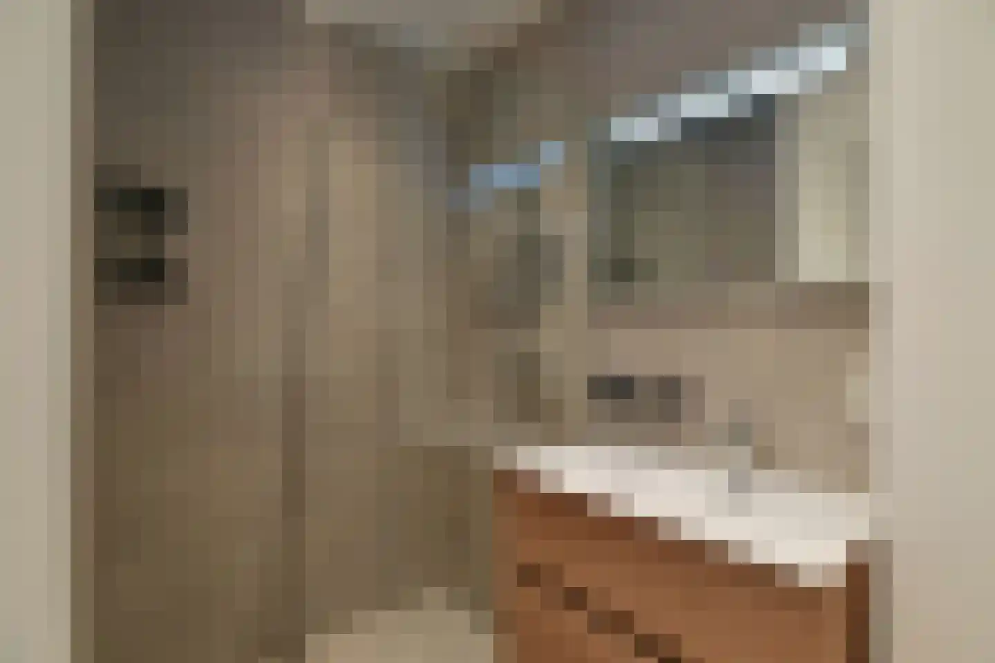 Heemskerklaan 48 Velp thumbnail 27