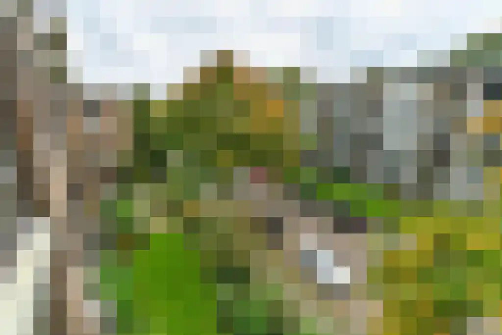 Heemskerklaan 48 Velp thumbnail 29