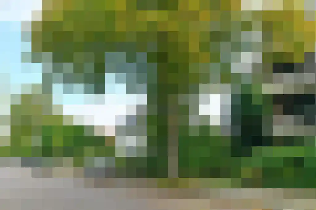Heemskerklaan 48 Velp thumbnail 31