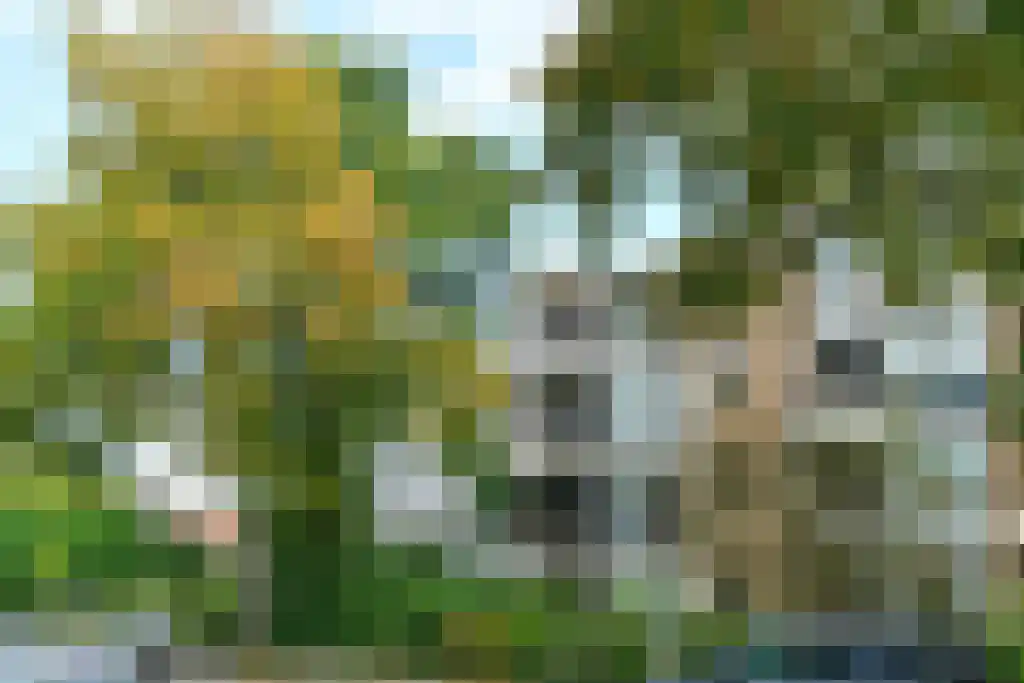 Heemskerklaan 48 Velp thumbnail 5