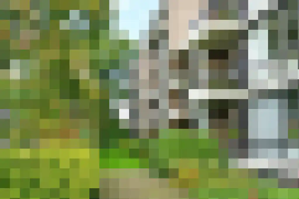 Heemskerklaan 48 Velp thumbnail 6