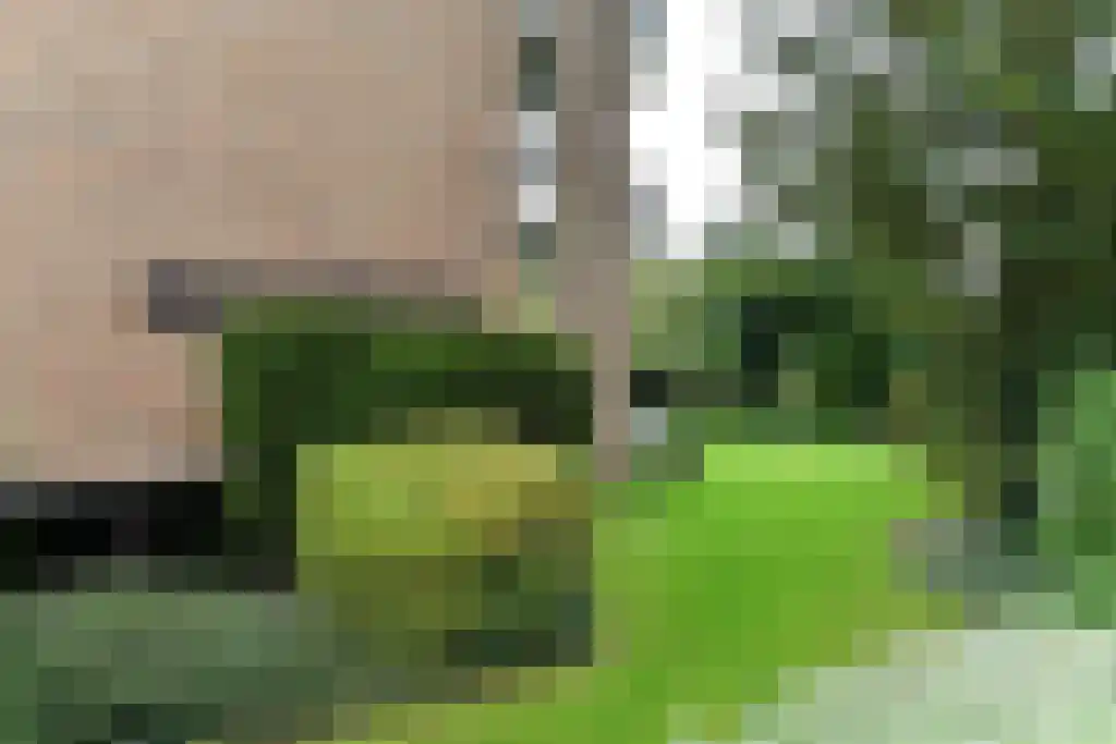 Heemskerklaan 48 Velp thumbnail 7