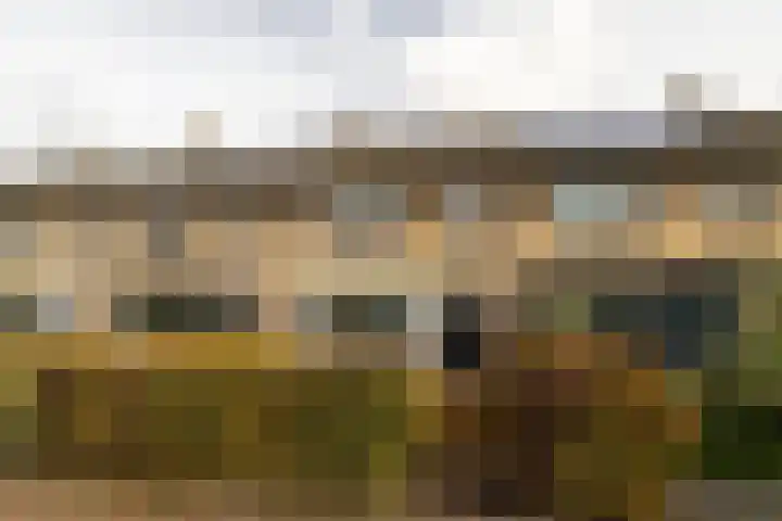 Heemskerklaan 56 Nunspeet thumbnail 35
