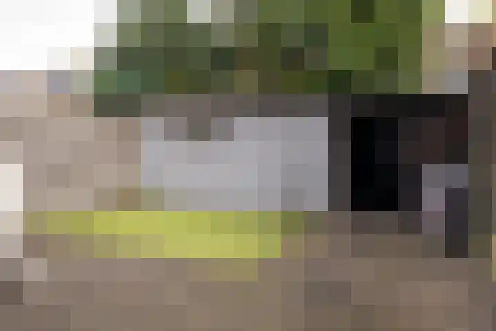 Heemskerklaan 56 Nunspeet thumbnail 36
