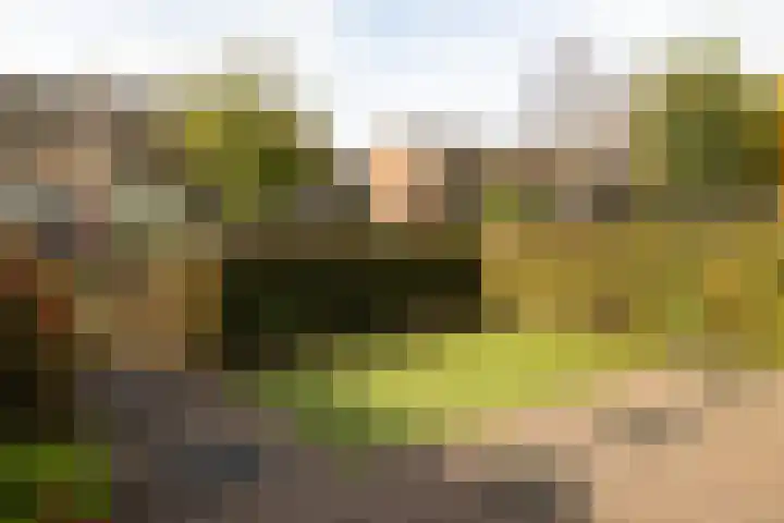 Heemskerklaan 56 Nunspeet thumbnail 7