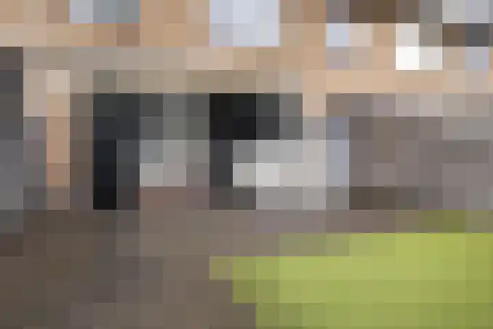 Heemskerklaan 56 Nunspeet thumbnail 8