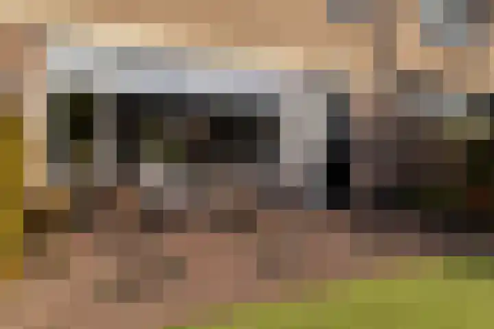 Heemskerklaan 56 Nunspeet thumbnail 9