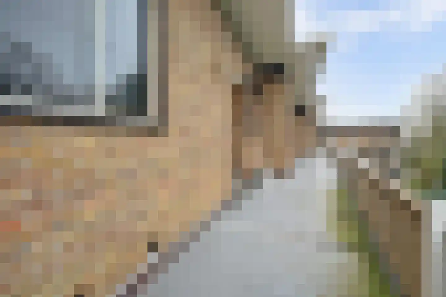Heemskerklaan 59 Velp thumbnail 10