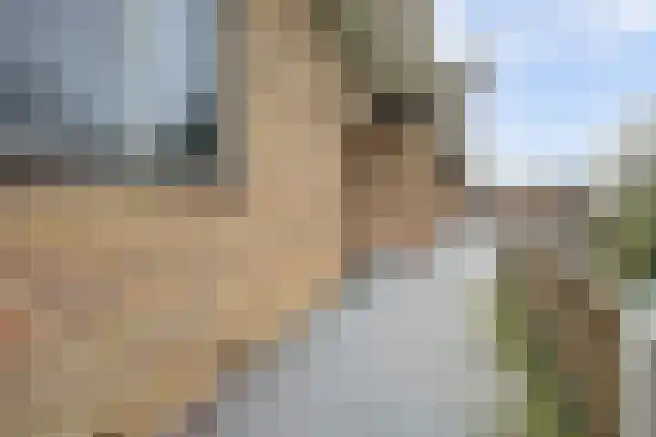 Heemskerklaan 59 Velp thumbnail 10