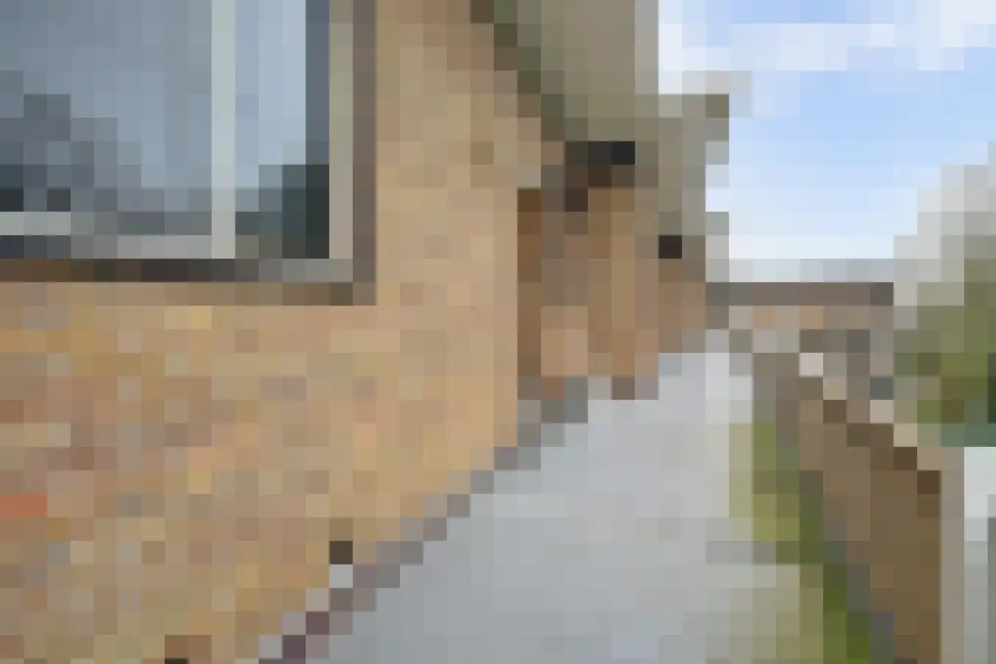 Heemskerklaan 59 Velp thumbnail 10
