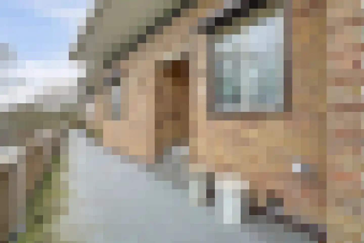 Heemskerklaan 59 Velp thumbnail 11