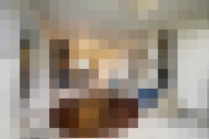 Heemskerklaan 59 Velp thumbnail 17