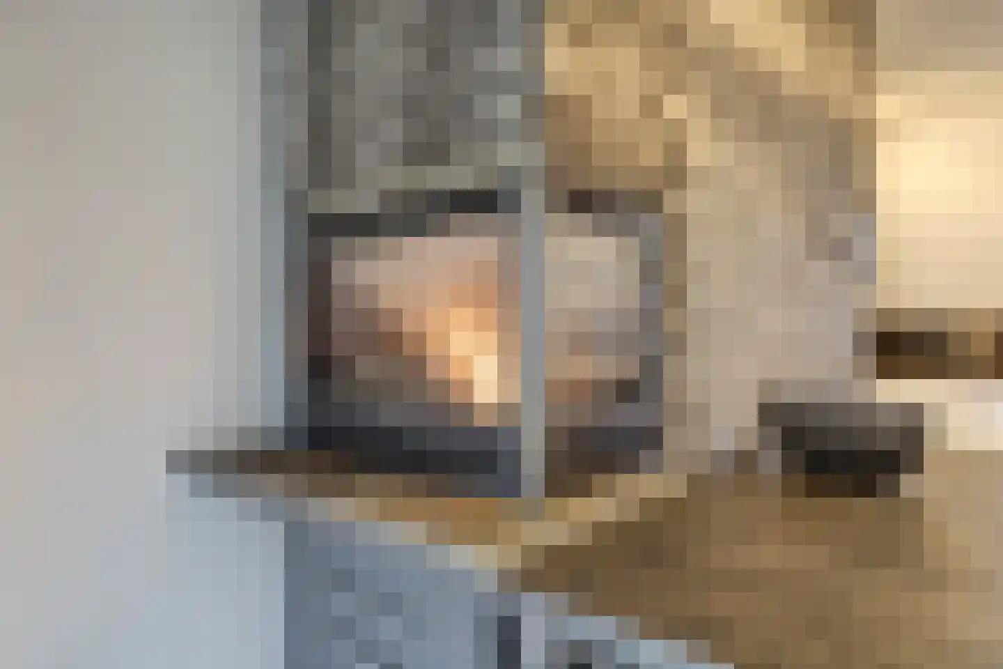 Heemskerklaan 59 Velp thumbnail 19