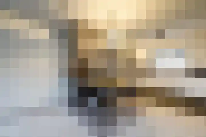 Heemskerklaan 59 Velp thumbnail 21